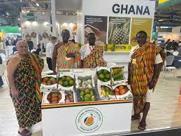 Delegates and stakeholders engaging during the Ghana Horticulture Expo 2025 forum
